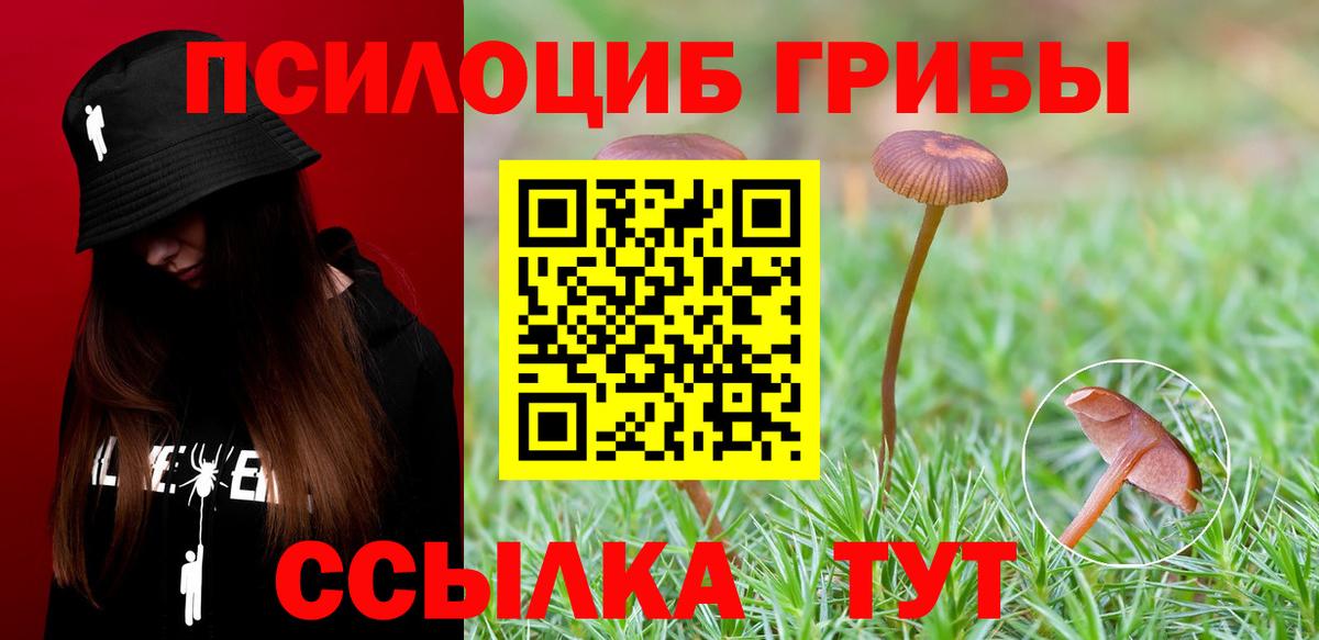 Галлюциногенные грибы мицелий Сибай