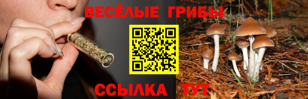 Сибай  Псилоцибиновые грибы Psilocybe  Галлюциногенные грибы Magic Shrooms  Вход с VPN 